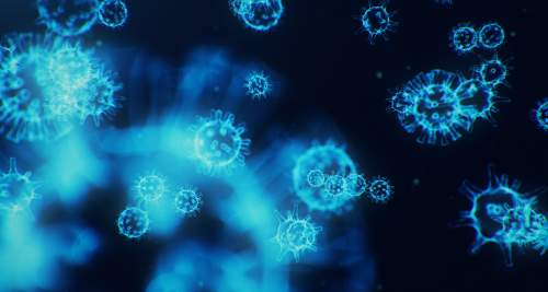 Picture of blue viruses